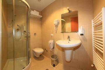Фото номера Двухместный номер с 1 кроватью и видом на горы Отель Hotel Roman Maramures г. Statjunea Borsa 12