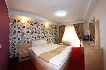 Фото номера Двухместный номер с 1 кроватью и видом на горы Отель Hotel Roman Maramures г. Statjunea Borsa 3